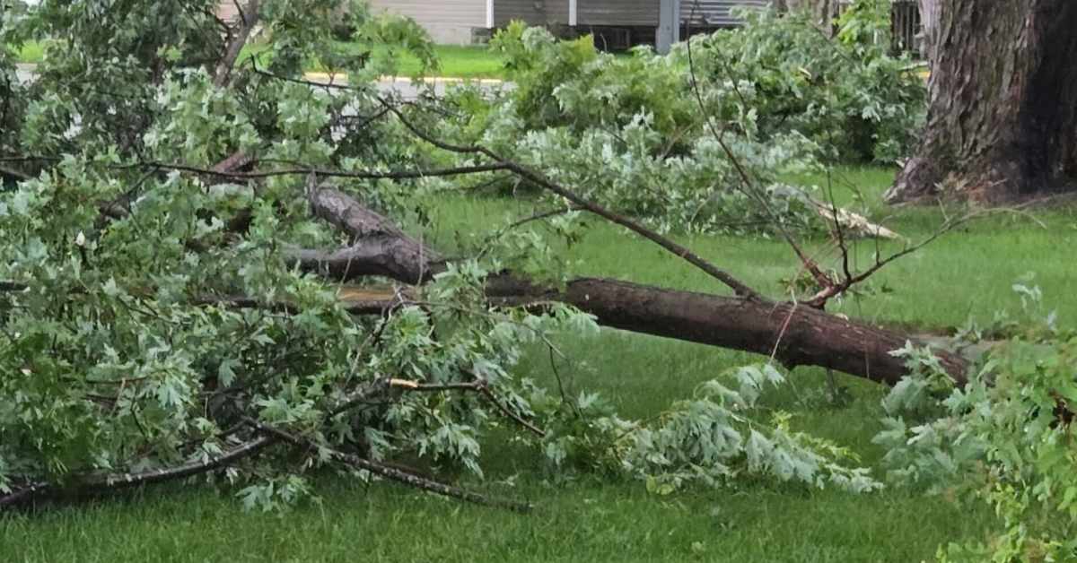 Featured image for Storms Cause Power Outages and Damage Across Minnesota
