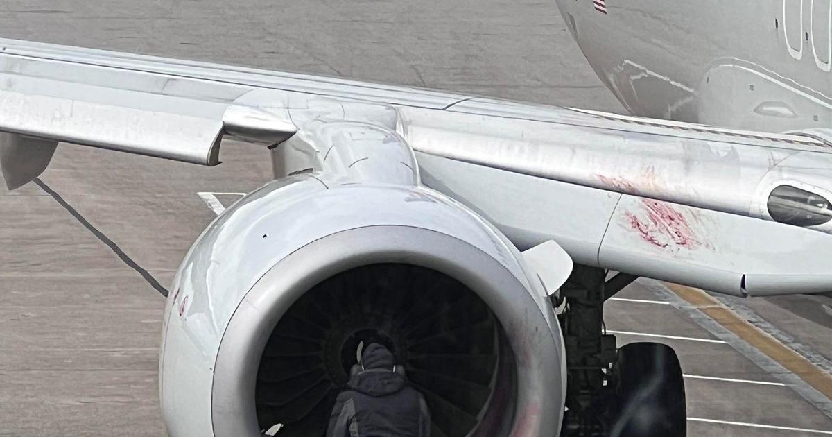 American Airlines planes make emergency landings due to fires caused by bird strikes and geese.