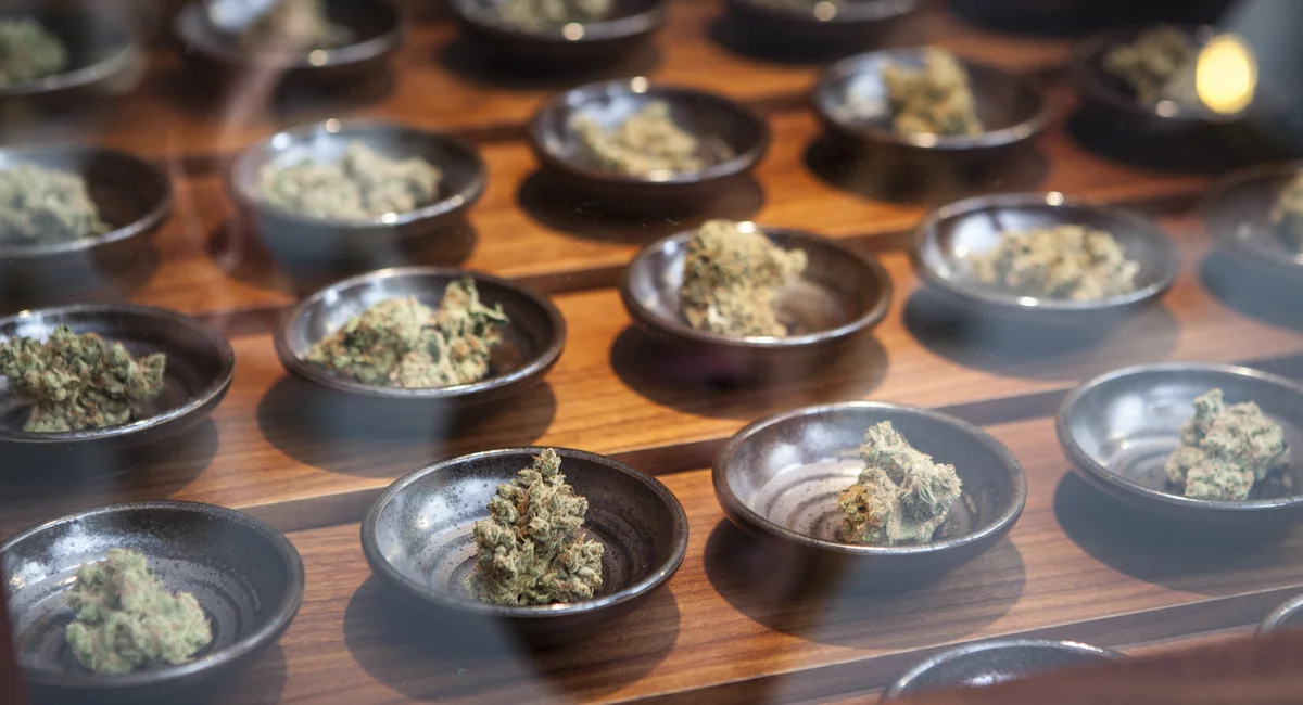 Featured image for Settlement Clears Path for More Cannabis Dispensaries in New York State