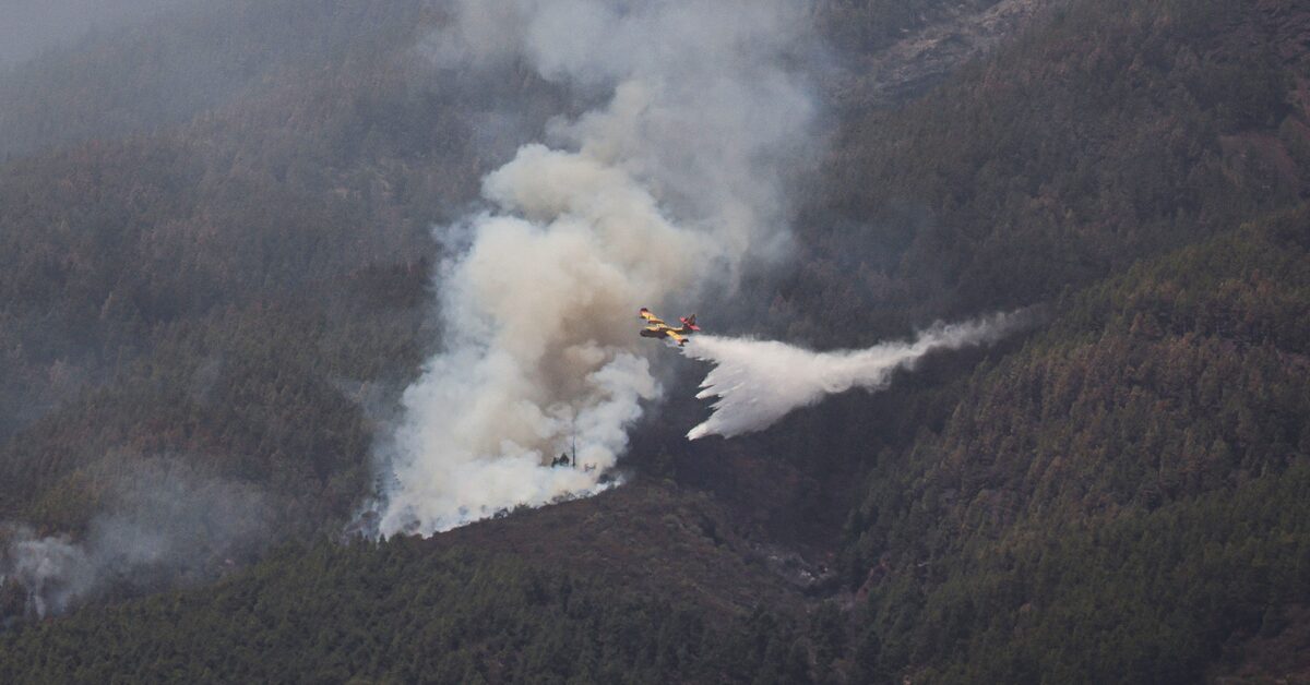 Featured image for Massive Evacuation on Tenerife as Wildfire Resurfaces