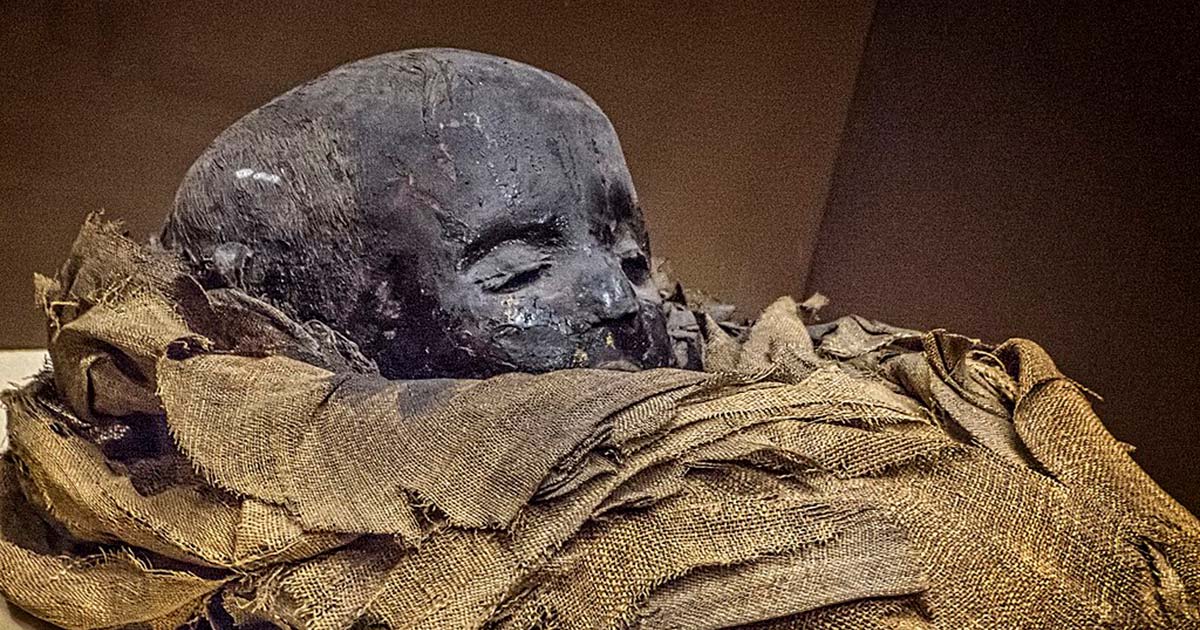Anemia Prevalent Among Ancient Egyptian Children, Study Finds.