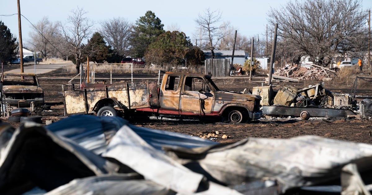 Featured image for "Uninsured Homes and Wildlife at Risk: The Aftermath of Texas' Devastating Wildfires"
