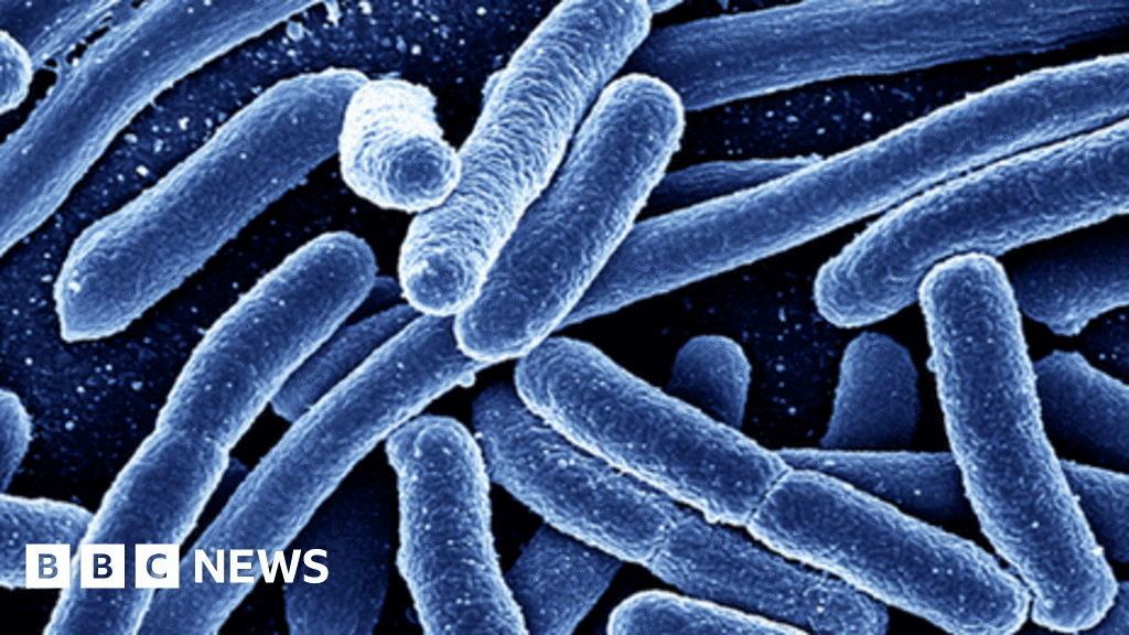 Calgary Daycare E. coli Outbreak: Investigation, Infections, and Health Violations