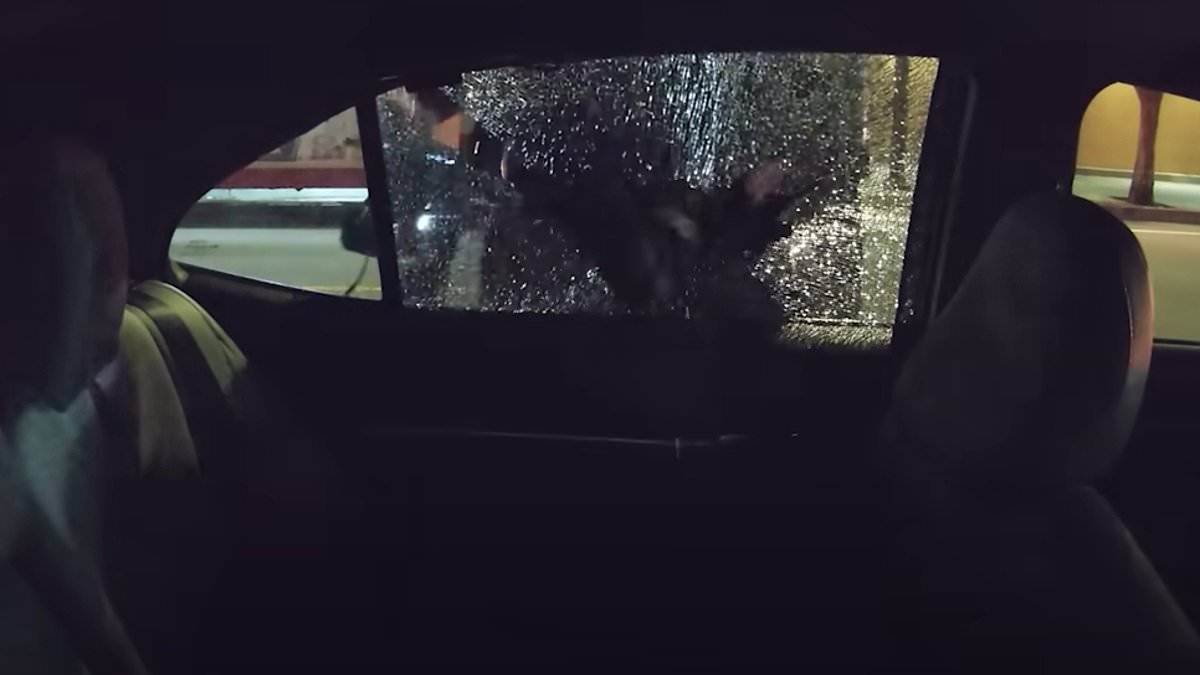 "Viral glitter bomber takes on San Francisco thieves in epic showdown"