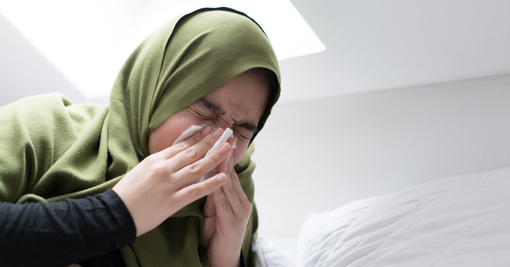 Featured image for "Rising Pollen Allergies: Cities Facing Longer and Worsening Allergy Seasons"