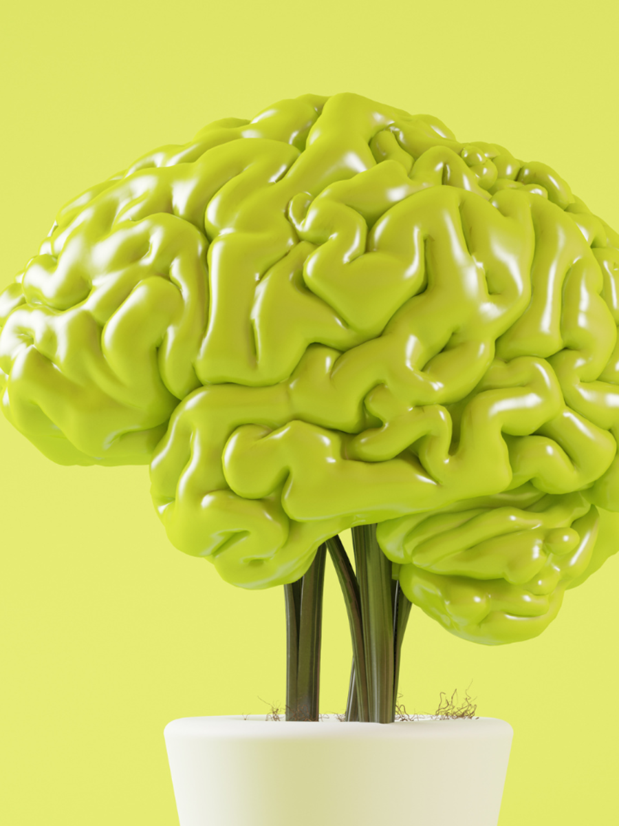 Featured image for Top Brain Hacks and Exercises to Boost Memory and Prevent Decline