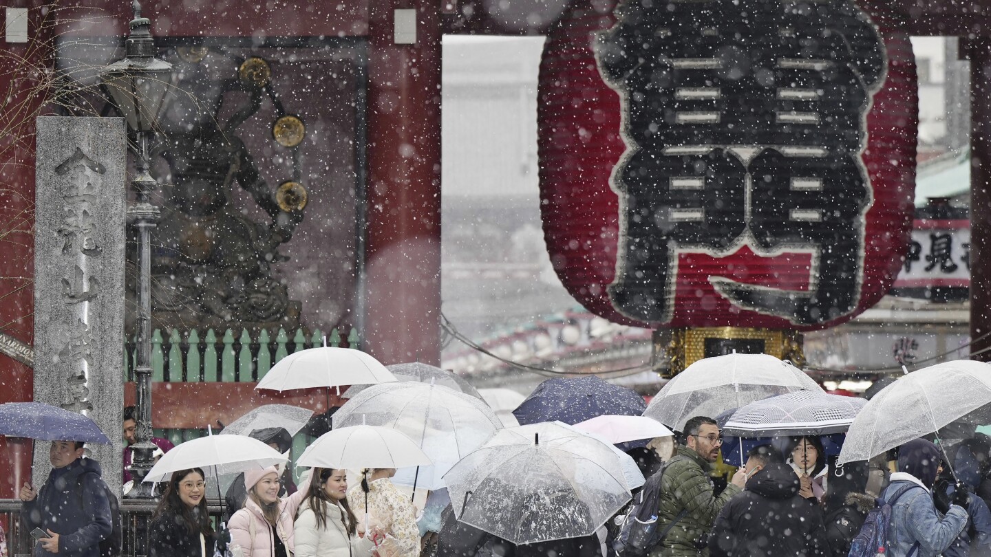 "Tokyo Area Paralyzed by Heavy Snow, Disrupting Transportation and Flights"