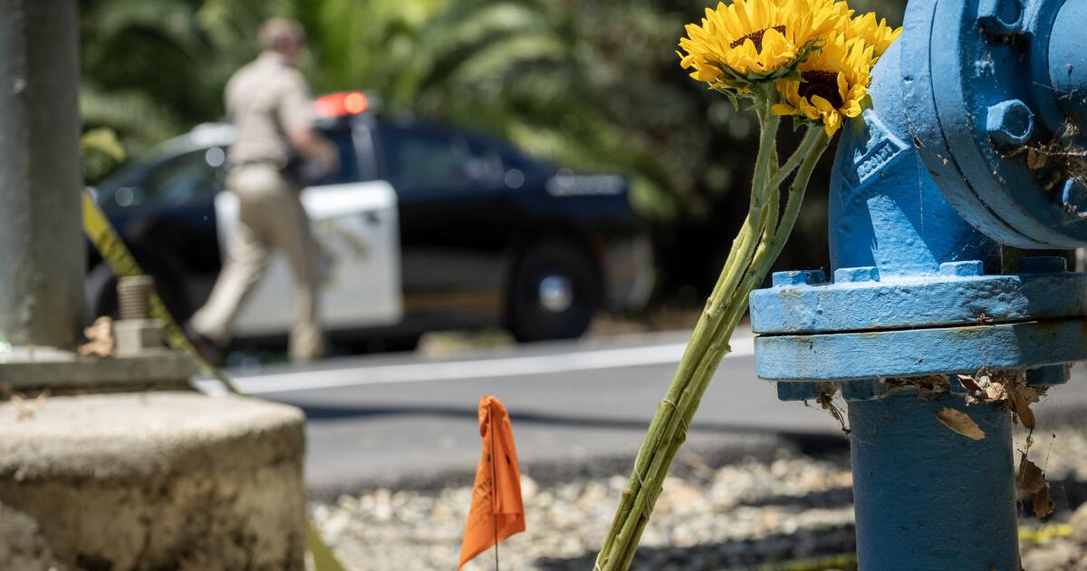 Tragic Mass Shooting at Orange County Bar Leaves Three Dead, Including Ex-Cop's Estranged Wife