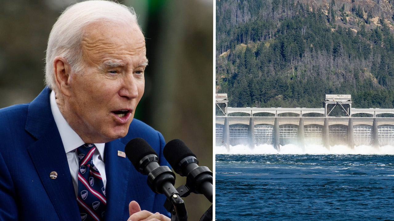 Featured image for Calls for Reform as Red Tape Threatens Major US Power Source