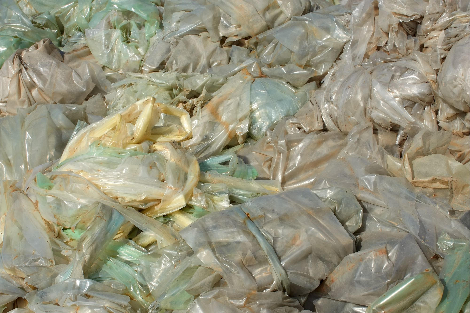 Featured image for Revolutionary Recycling Method Eliminates Polyethylene Waste