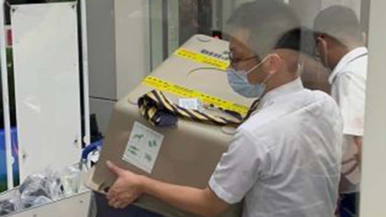 Featured image for In-Flight Chaos: Animals Run Amok on International Flights