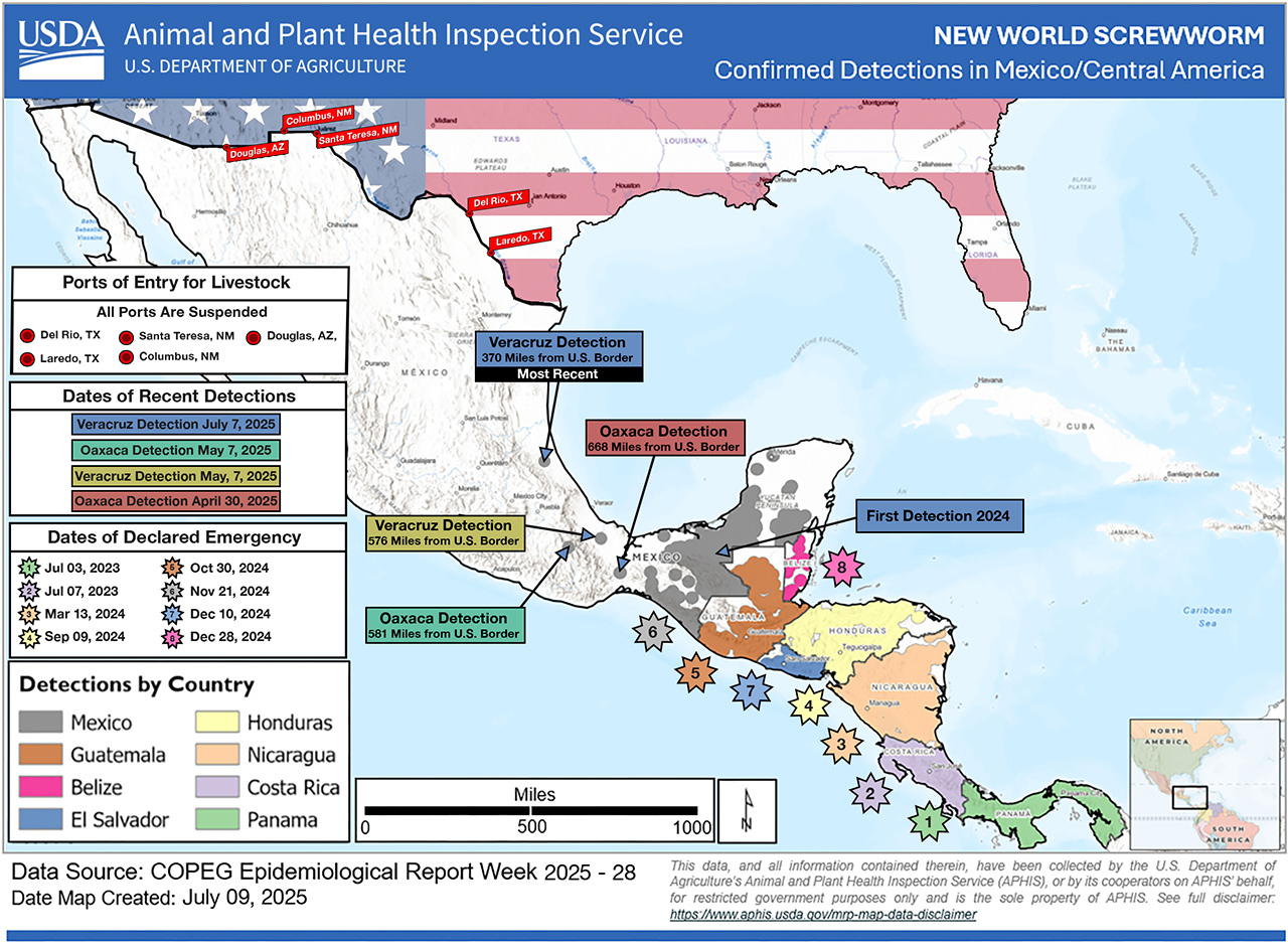 Featured image for U.S. Implements Fly-Borne Strategy and Closes Borders to Combat Screwworm Spread