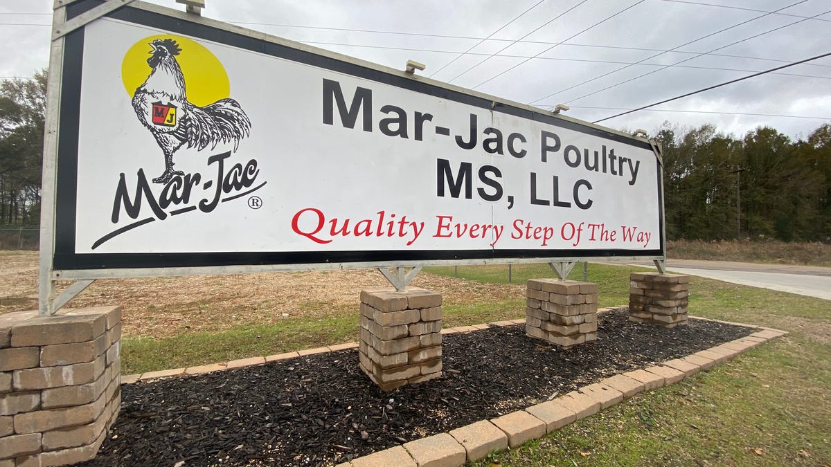 Featured image for Tragic Teen Worker Fatality at Mar-Jac Poultry Plant in Mississippi