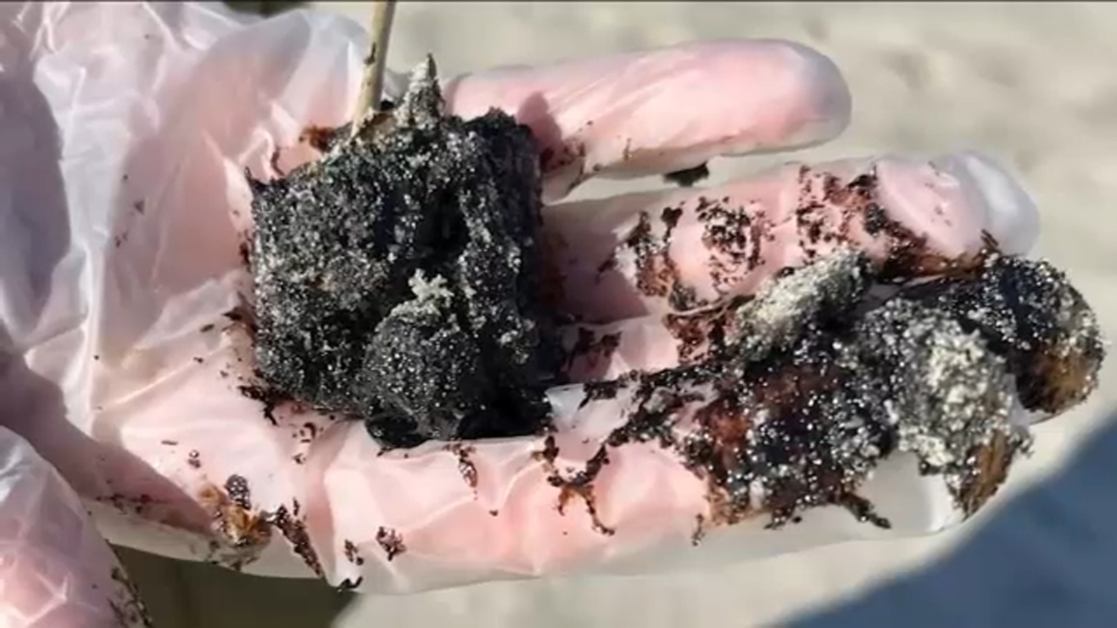 Mysterious Tar Balls and Oil Plague Jersey Shore Beaches