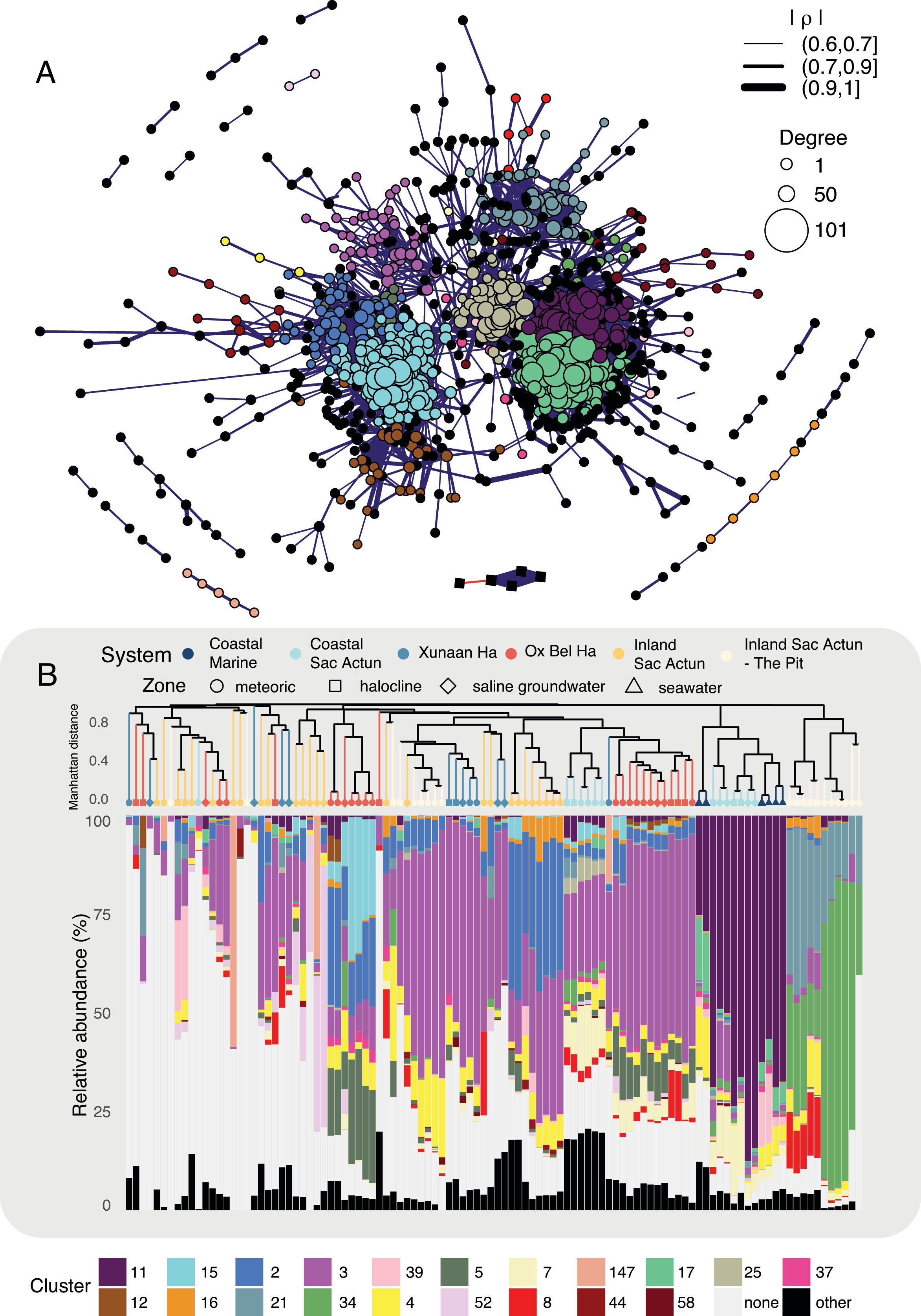 Featured image for Exploring Yucatán's Hidden Microbial World in Underwater Caves
