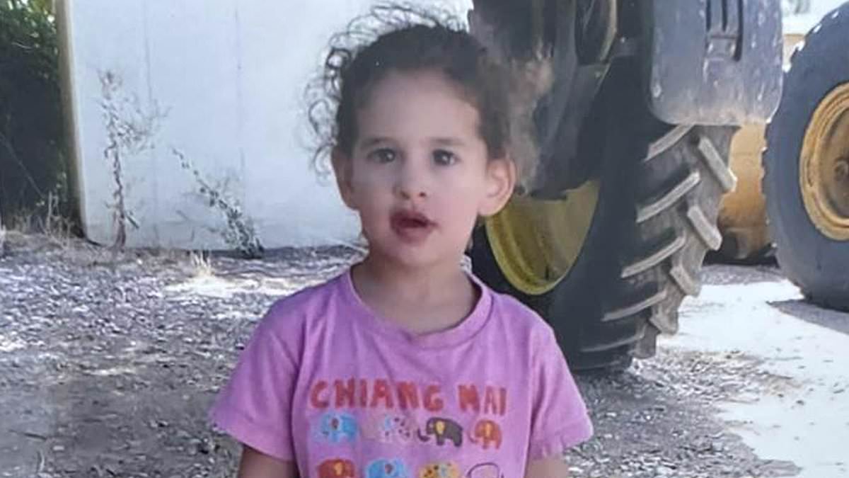 "American toddler and two women among hostages released by Hamas"