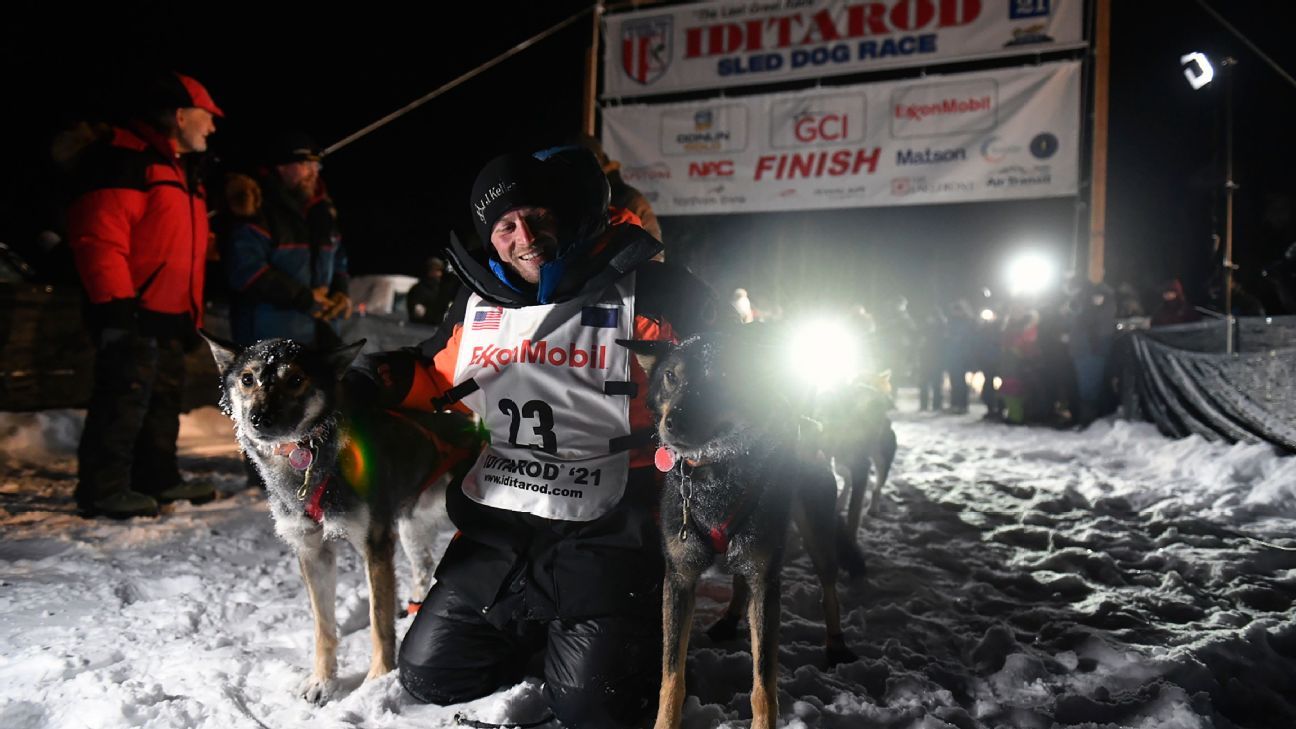 Featured image for Iditarod Champion Penalized for Shooting Moose in Defense of Team