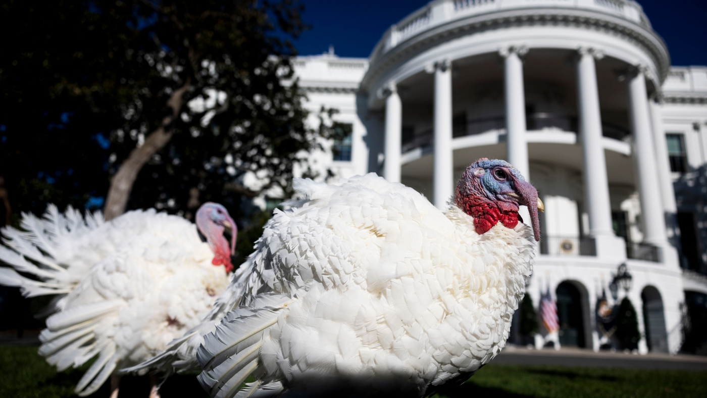 Biden's Annual Turkey Pardon: A Quirky Tradition Amidst Global Challenges