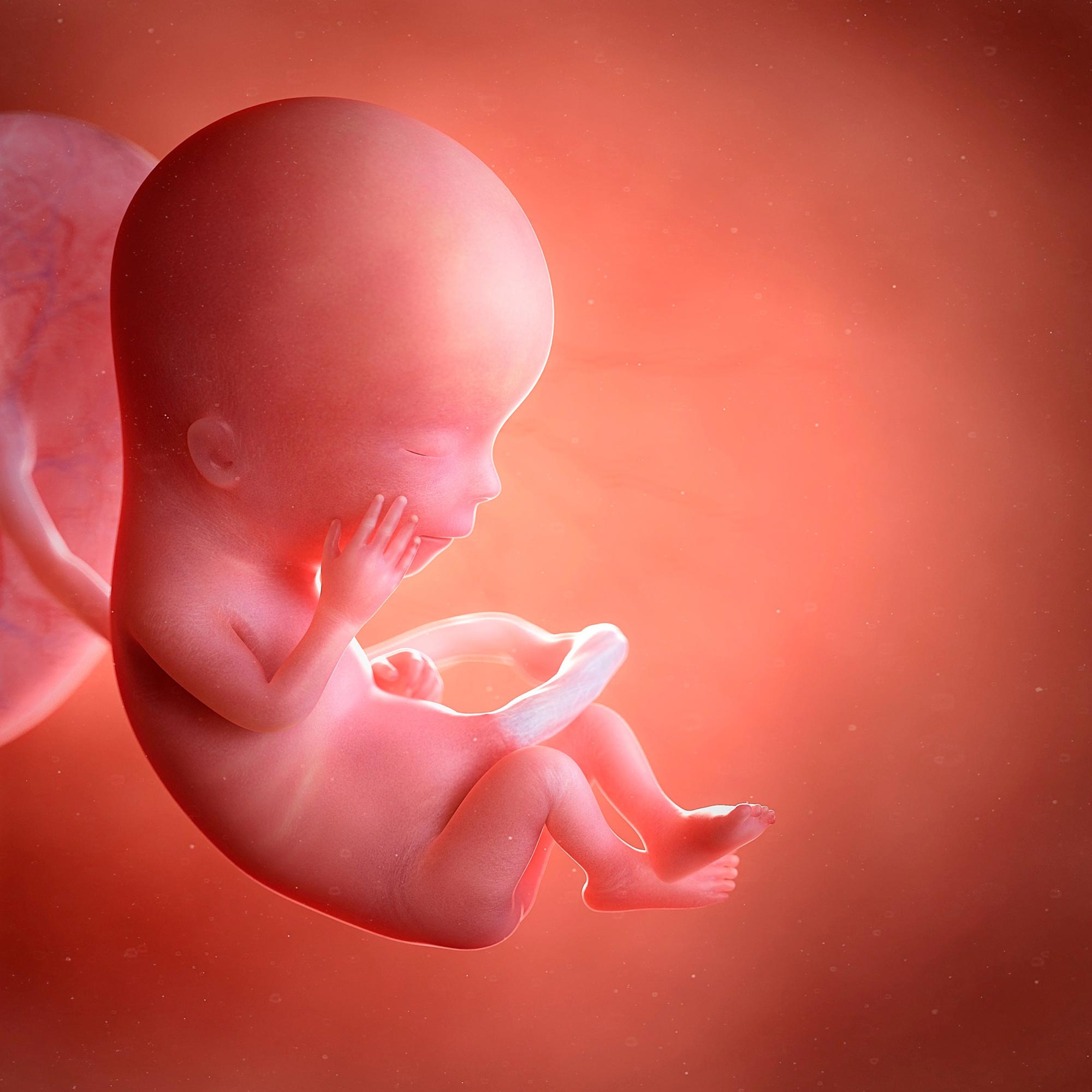 Embryonic Origins of Alzheimer's Disease Suggested by Stem Cell Model.