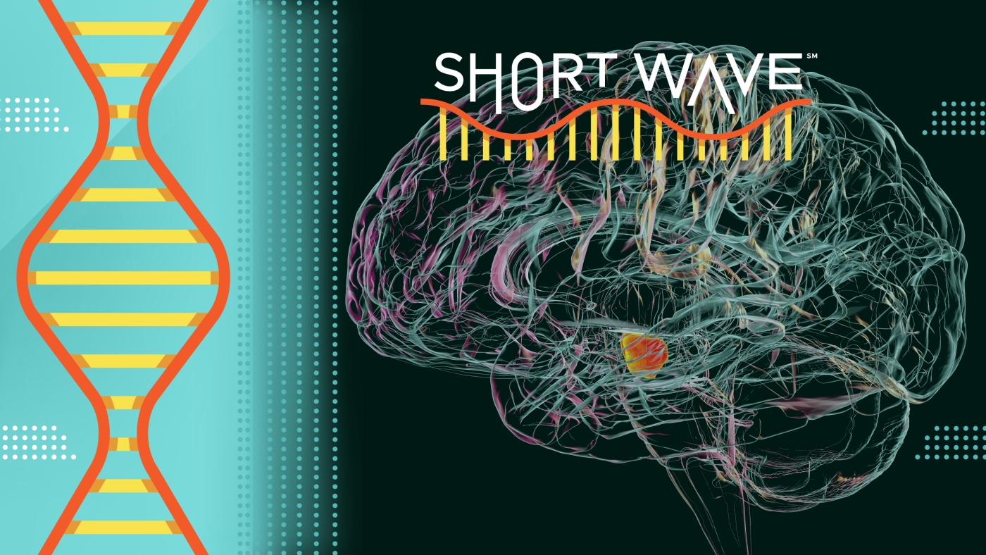 Featured image for Emerging Parkinson's Treatments Offer New Hope for Patients