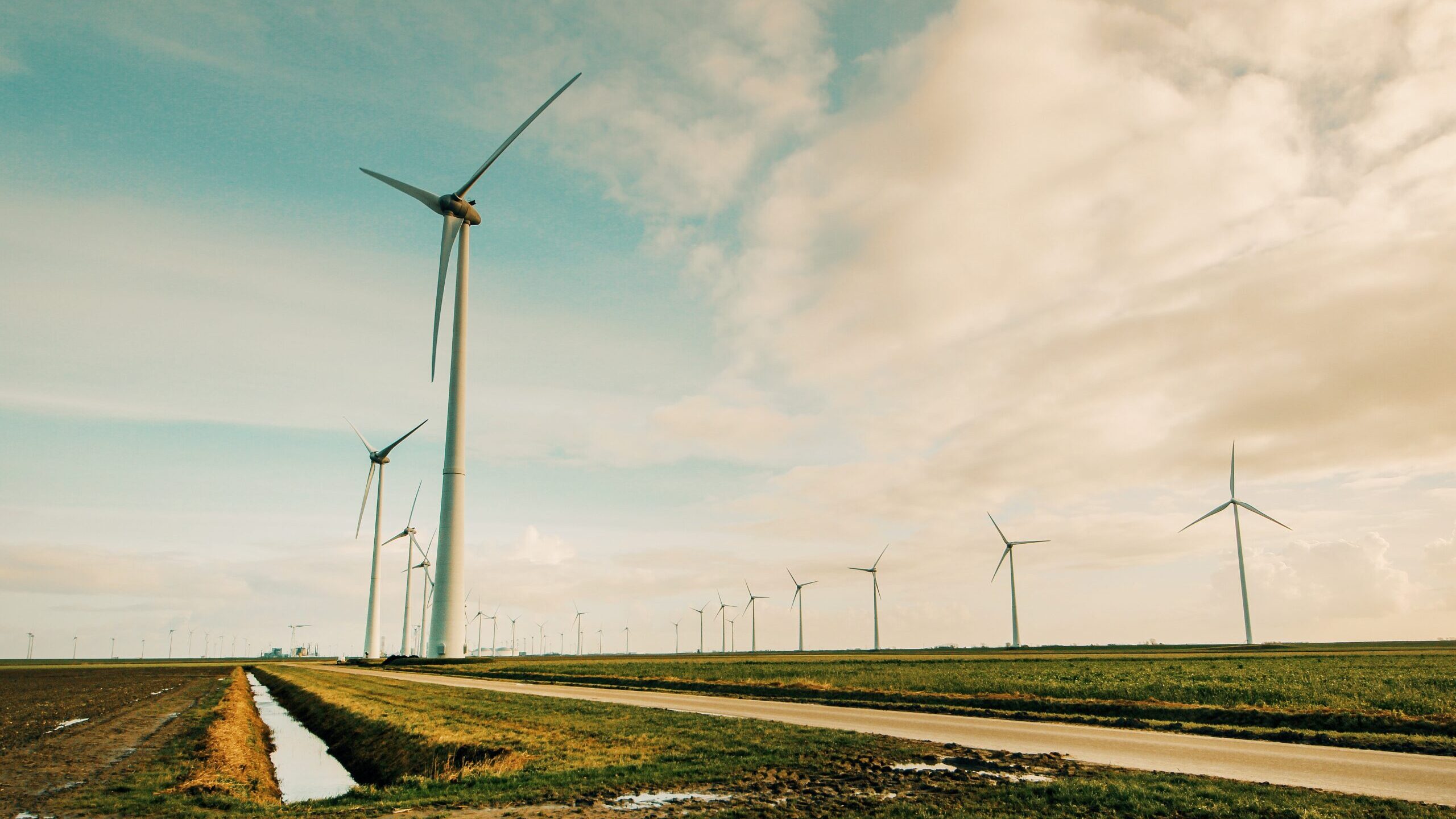 Featured image for Arizona to be part of expansive Southwest renewable energy project approved by US.