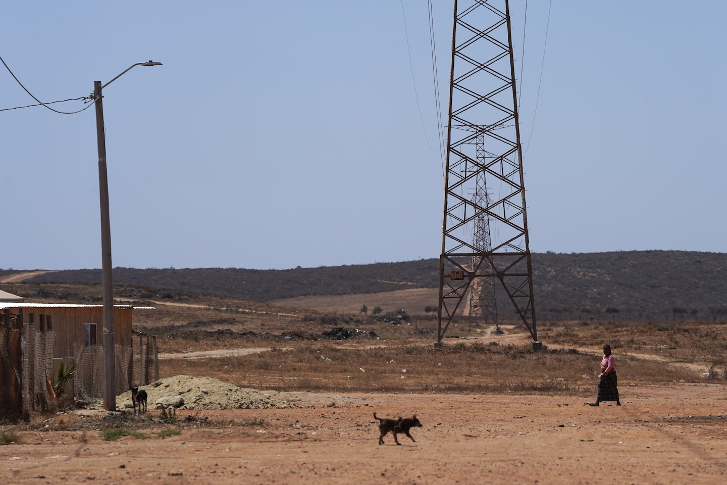 Featured image for CDC Issues Health Alert for Deadly Tick-Borne Disease Outbreak in California and Mexico