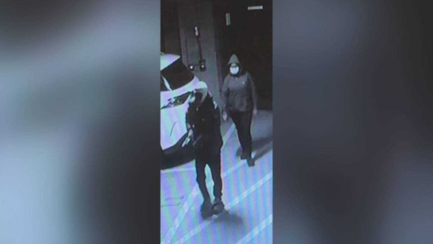 Featured image for Rampant Car Break-Ins: Juvenile Arrested, 2 Suspects Still at Large