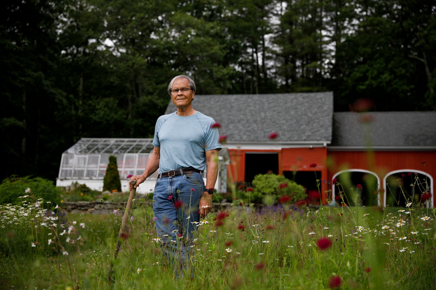 Featured image for "Creating a Pollinator-Friendly Wildflower Meadow in Your Backyard"