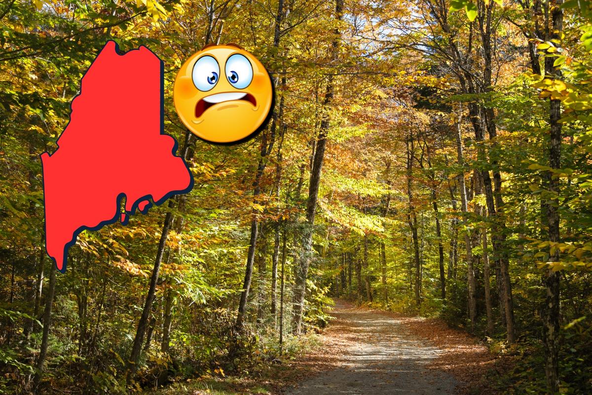 Featured image for The Deadliest Creature on Earth Expanding Its Range to Maine and Massachusetts