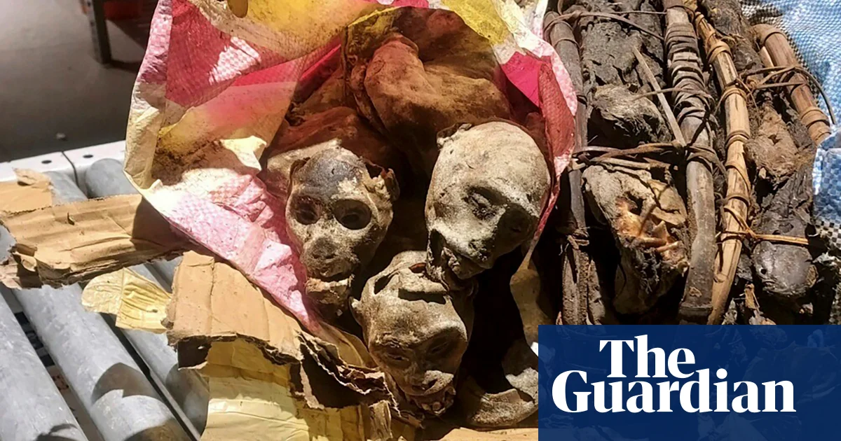 Featured image for "CBP K9 Detects Illicit Dried Monkey Imports at Boston Airport"