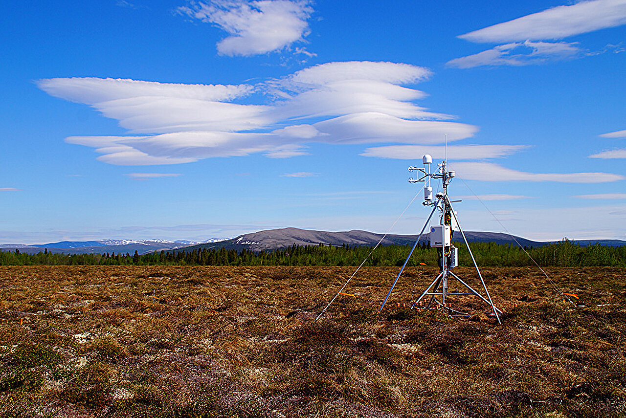 Featured image for "Wetland Methane Emissions Surge in High Latitudes, Study Finds"