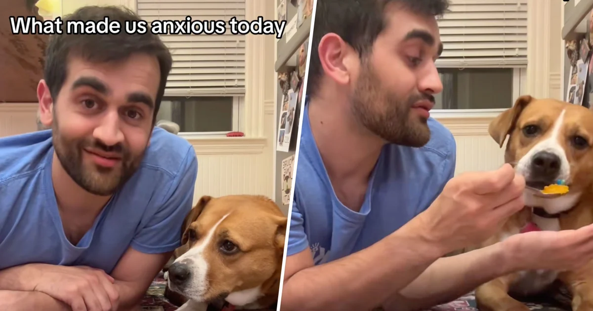 Featured image for Dog and Owner Share Anxiety Medication in Viral Video