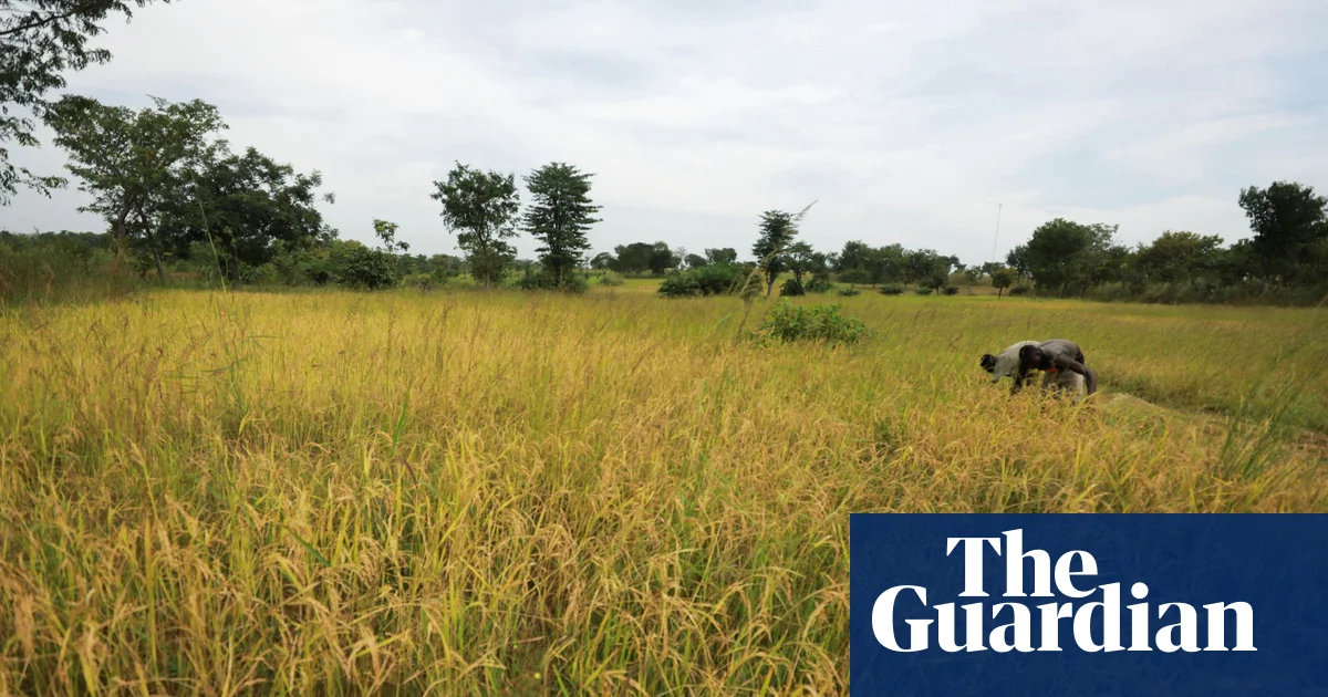 Deadly Attacks Ravage Nigerian Villages, Leaving Dozens Dead