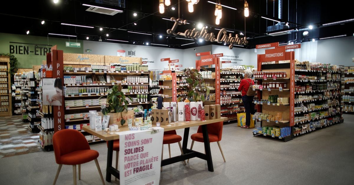 Featured image for "Corporate Apocalypse: Predicting a Surge in Failures by 2024"