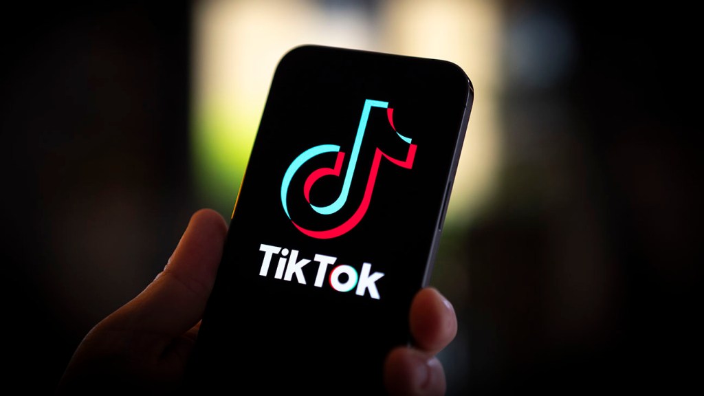 TikTok Joins the Text Trend, Leaving Twitter Behind