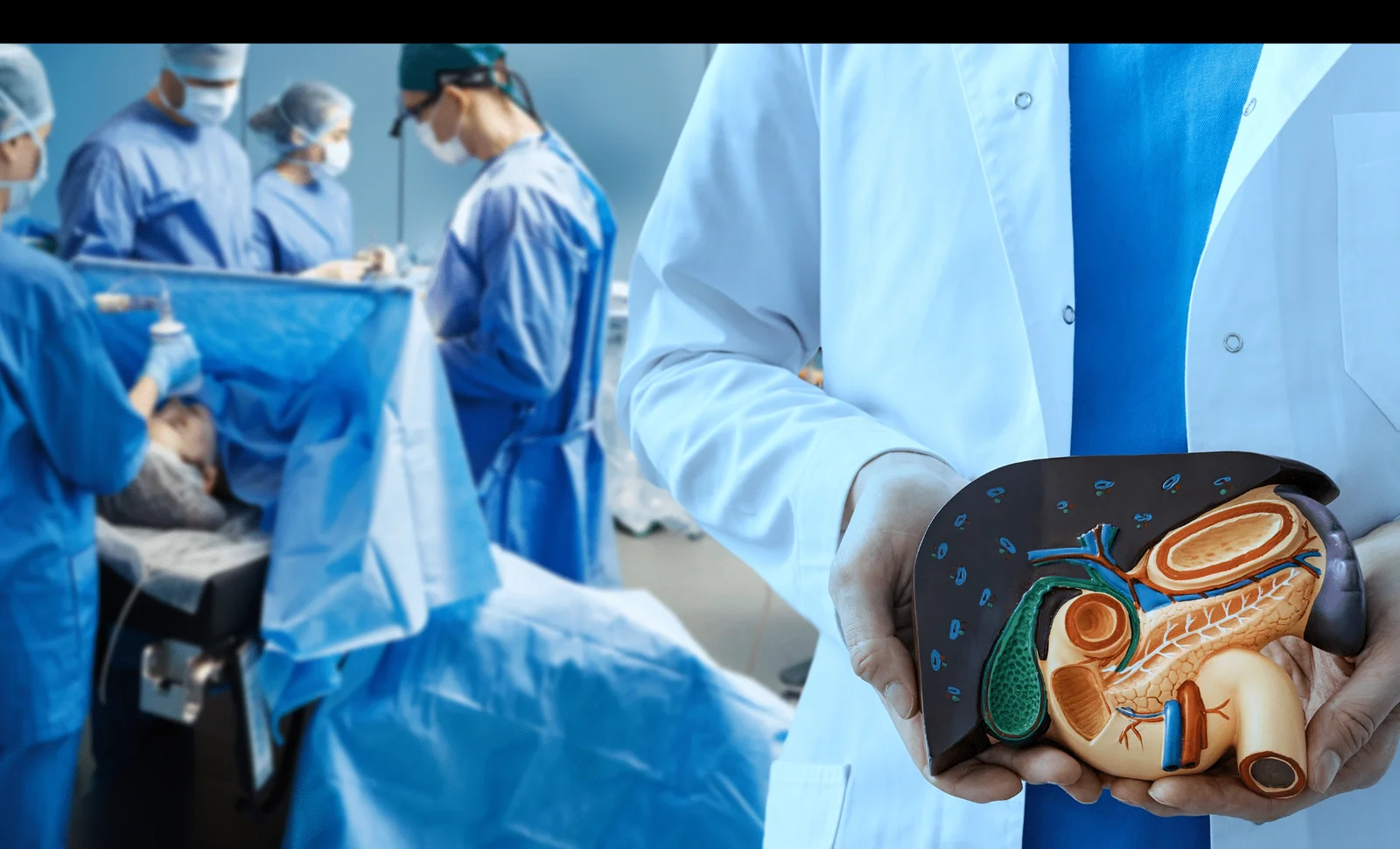 Featured image for Breakthrough in Organ Transplants: First Successful Pig Liver Transplant in a Living Patient