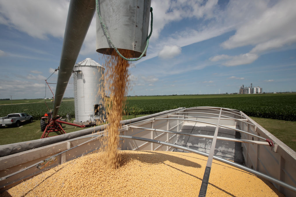 Farmers Face Economic Strain Amid Tariff Uncertainty