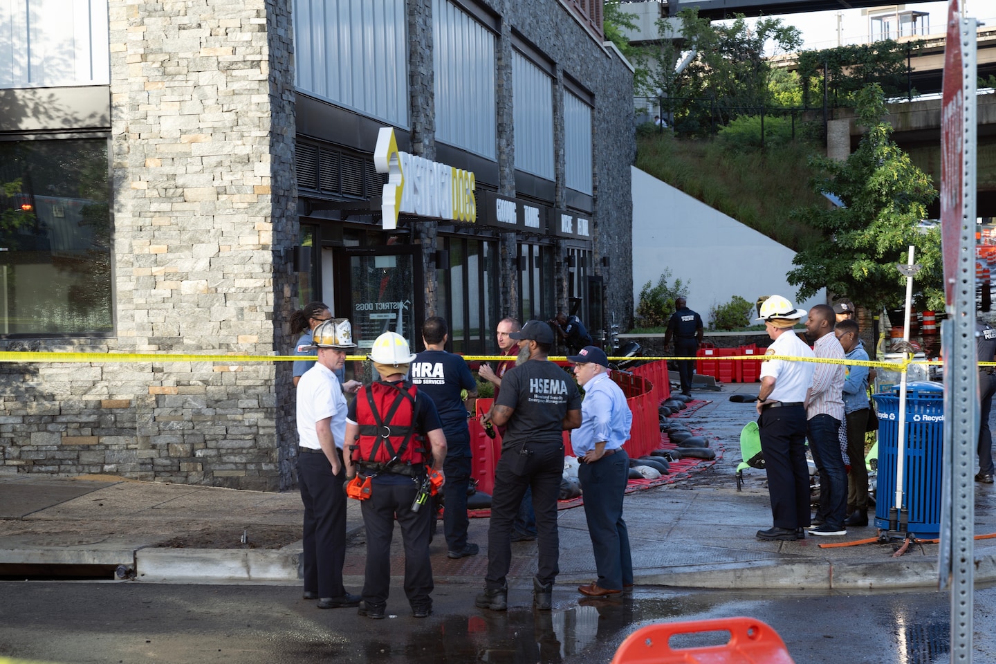 Tragic Flash Flooding Claims Lives of Dogs at D.C. Canine Day Care