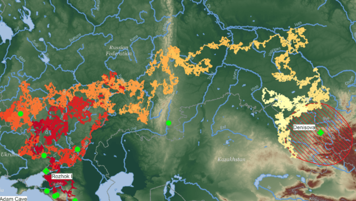 Featured image for Revealing the Rapid and Extensive Migration Routes of Neanderthals Across Eurasia
