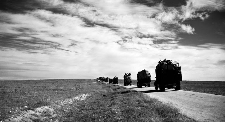 Featured image for Key Insights Before the UN Palestine Summit