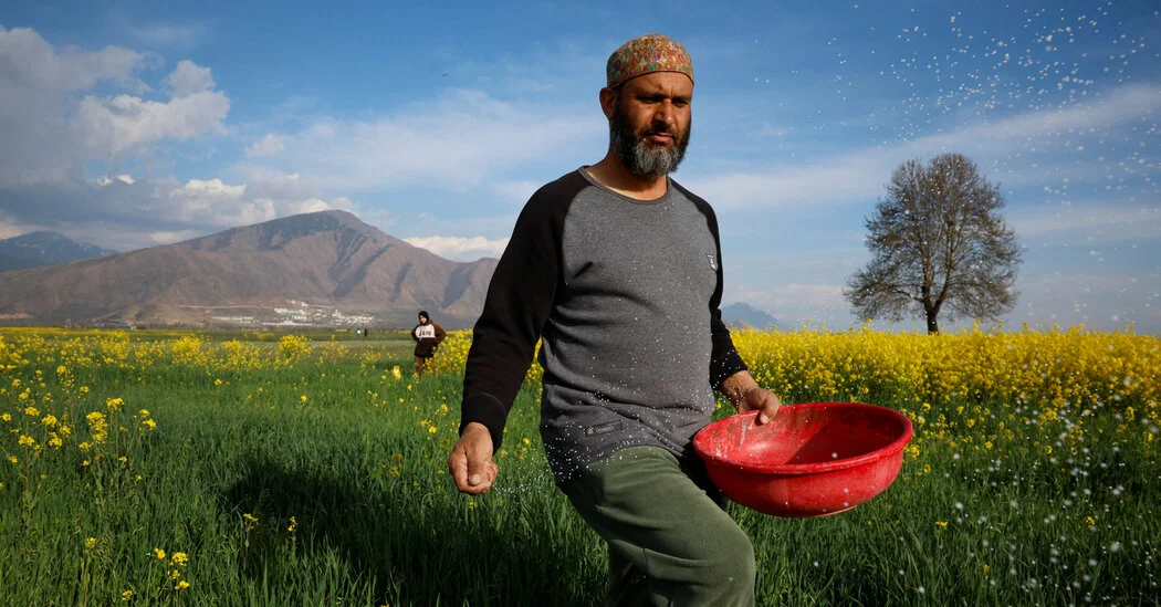 Iran War Triggers Global Fertilizer Crunch, Endangering Food Supplies