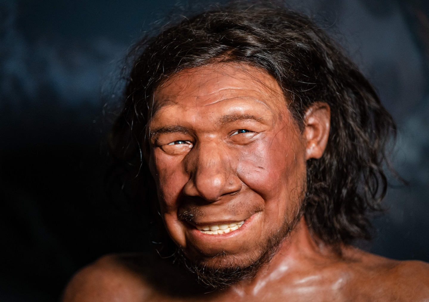 Morning Person? You Might Have Neanderthal Ancestry