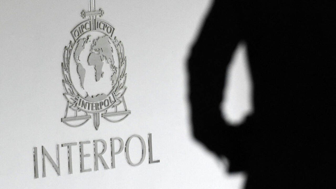 Interpol: Over 100 Arrested in West African Internet Scam Probe