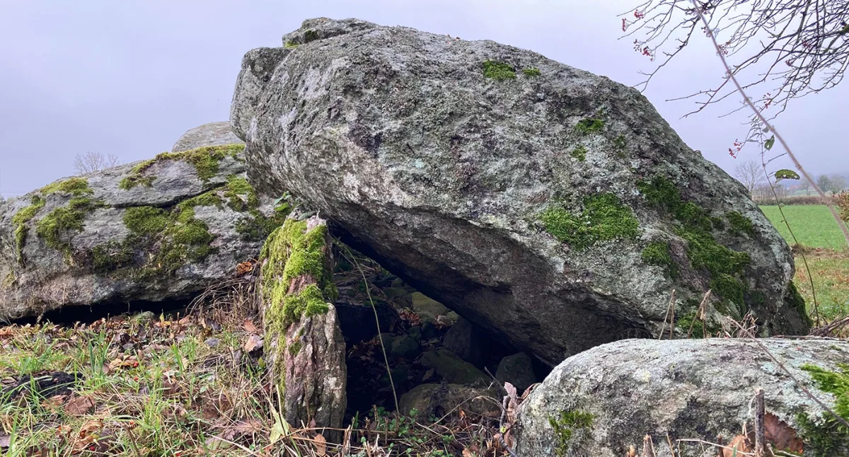 Ancient Plague Linked to Neolithic Population Collapse