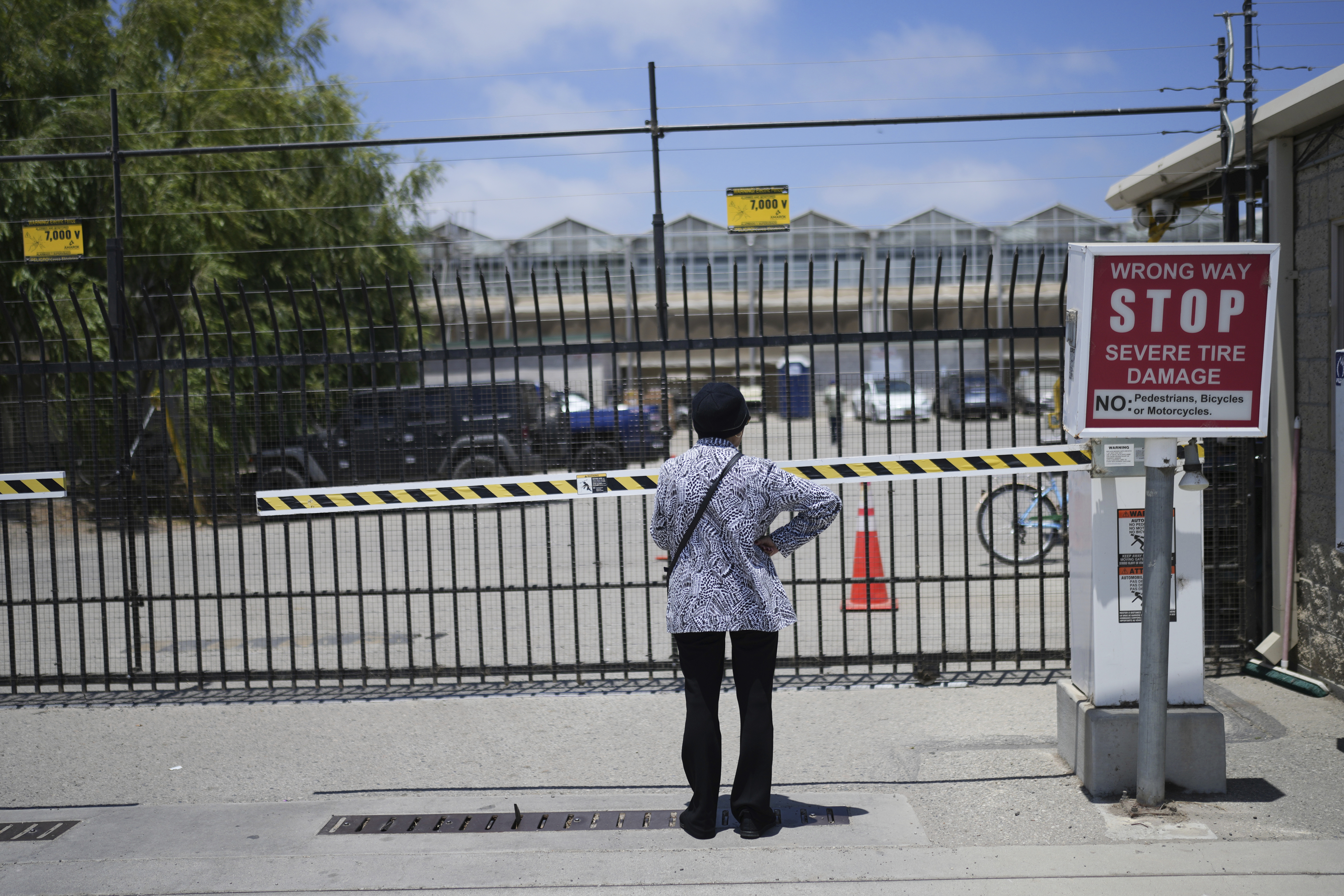 California Farmworker Dies After ICE Raid Amid Largest Marijuana Bust of Trump Era