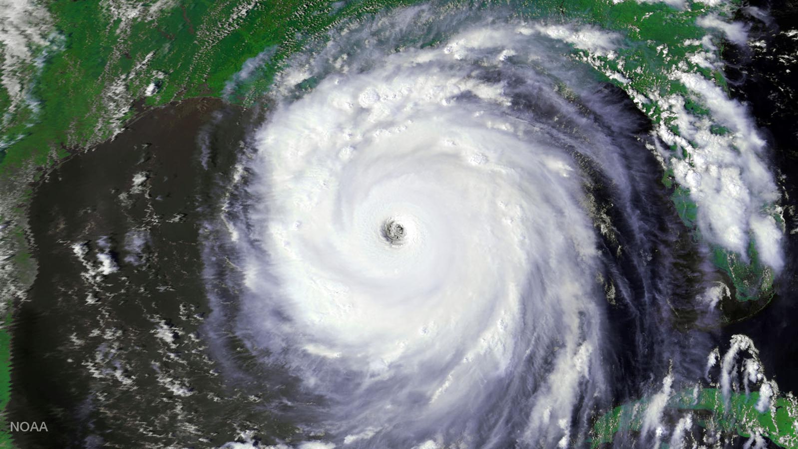 Featured image for Reflecting on Hurricane Katrina: Memories, Lessons, and Commemorations