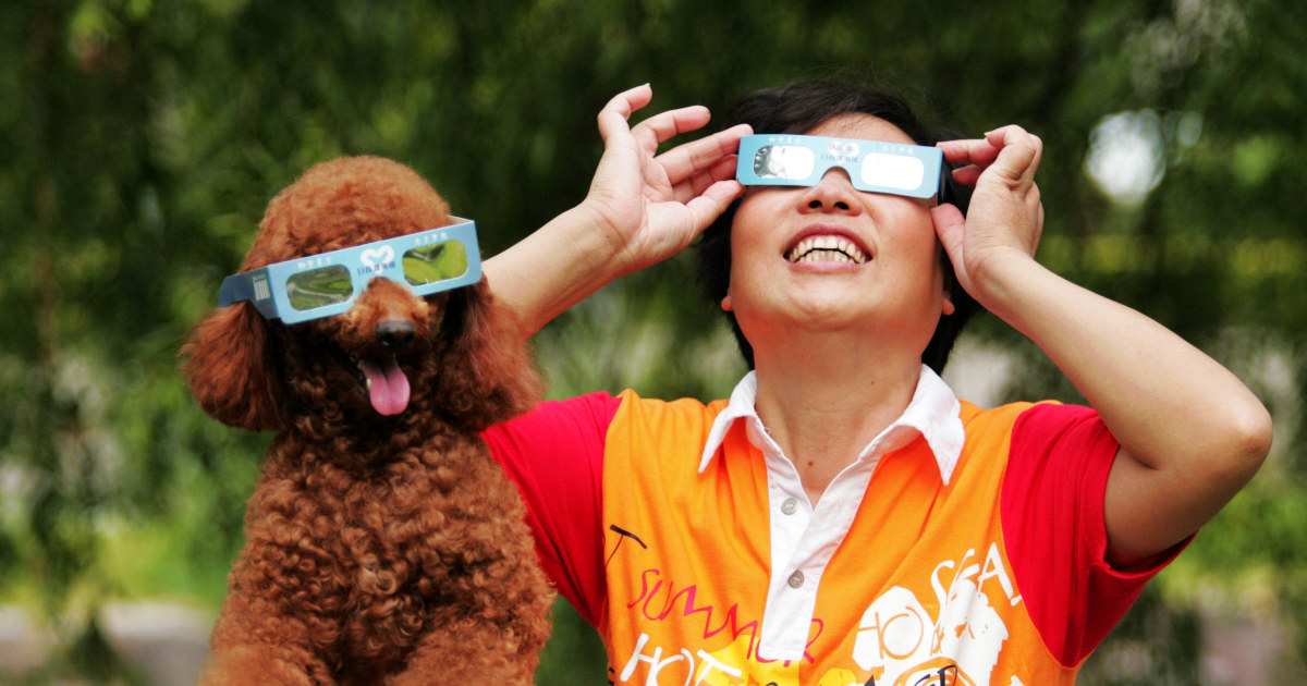 Featured image for "Ensuring Pet Safety During a Solar Eclipse"
