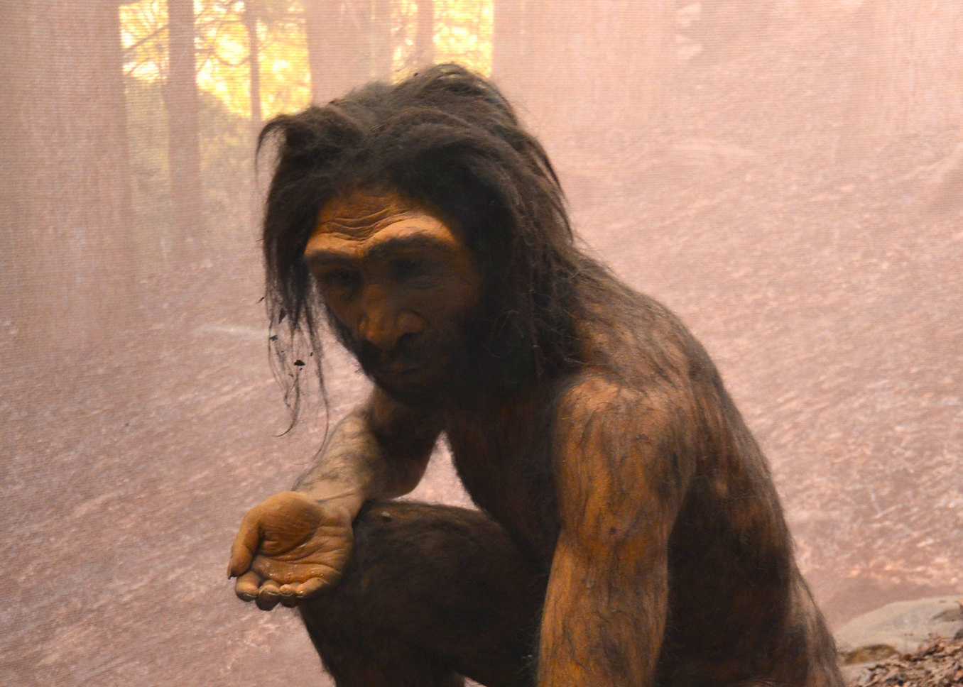 Featured image for New Ancient Human Species Discovered in China