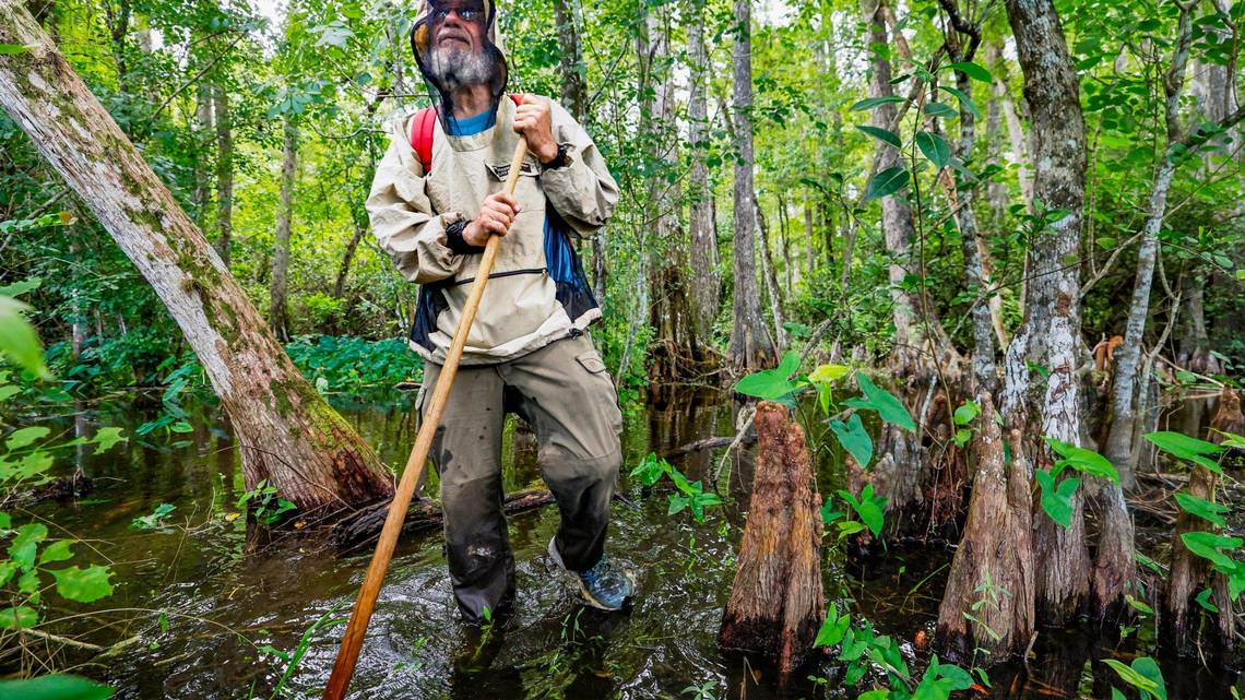 Controversy Surrounds 'Alligator Alcatraz' in the Everglades