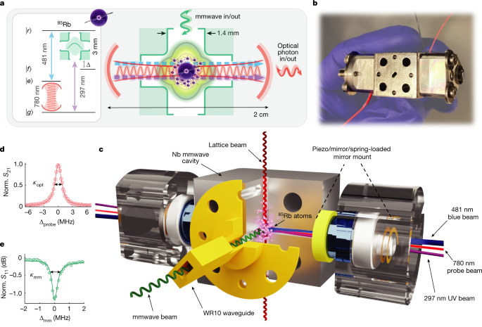 Featured image for Neutral atoms pave the way for quantum network advancement.